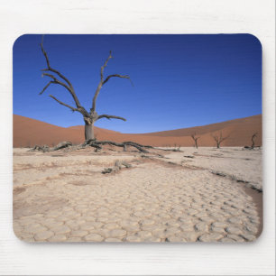 Dead Vlei, Sossusvlei, Namib-Naukluft National Mouse Mat