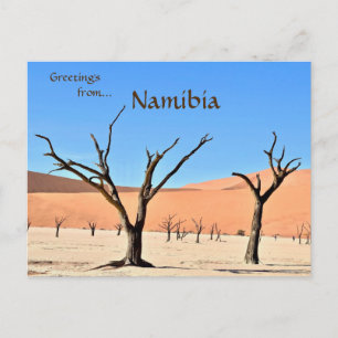 Dead Vlei Sossusvlei Namibia Postcard