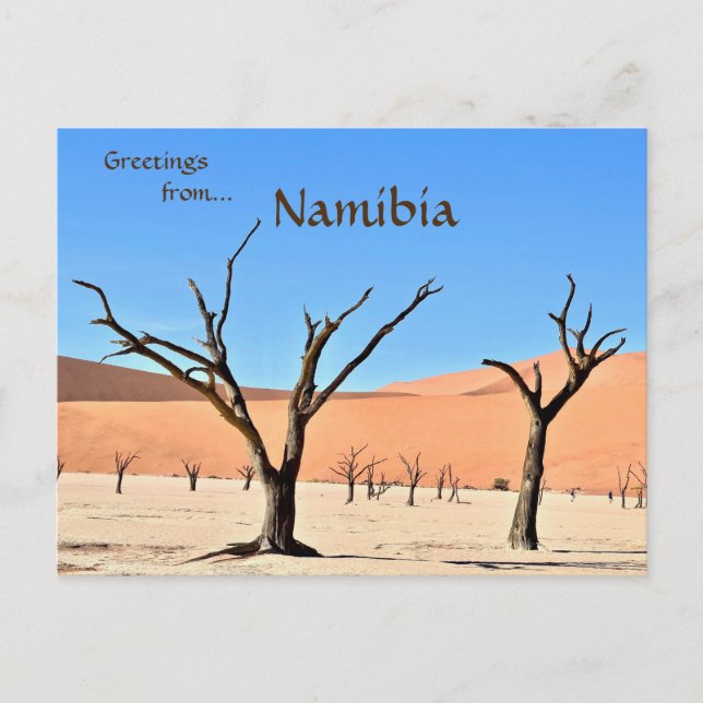 Dead Vlei Sossusvlei Namibia Postcard (Front)