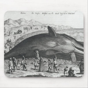 Dead whale mouse mat