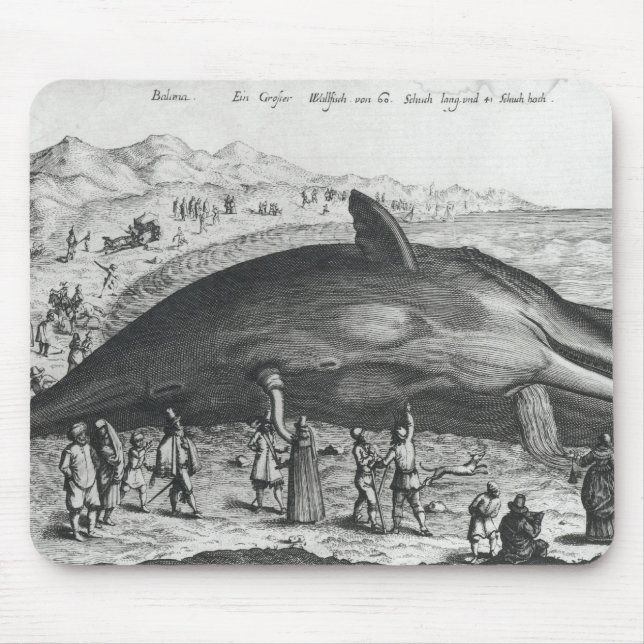 Dead whale mouse mat (Front)