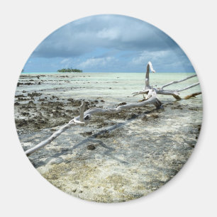 Dead wood in the Pacific round magnet