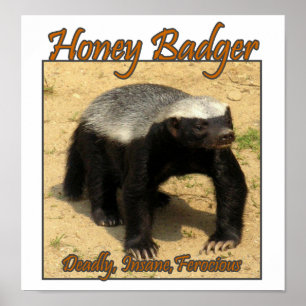 Deadly, Insane, Ferocious Honey Badger Print