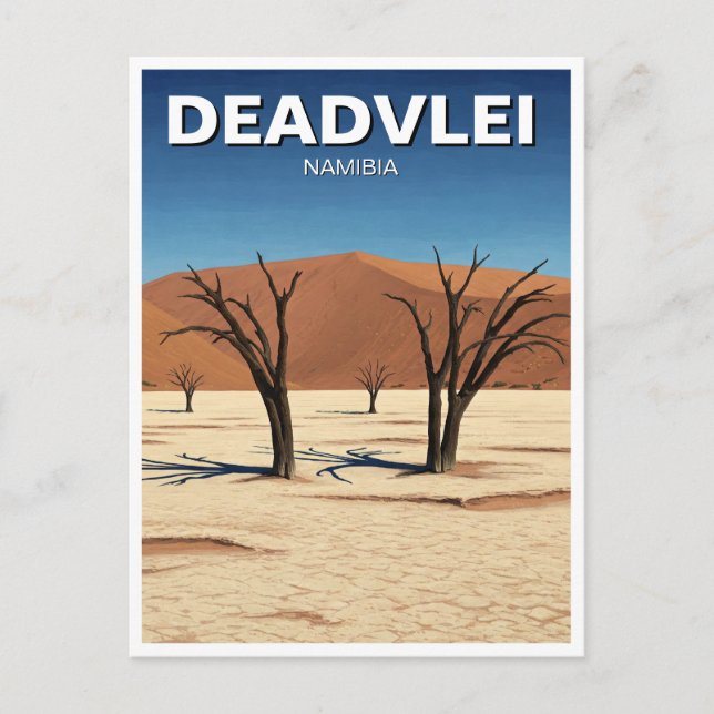 Deadvlei Namibia Travel Postcard (Front)