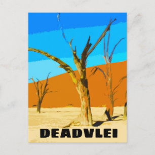 Deadvlei Namibia Travel Vintage Art Postcard