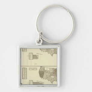 Deaf, Paupers, Prisoners statistical map Key Ring