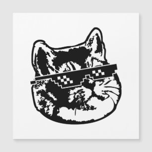 Deal With It Glasses Cat Meme