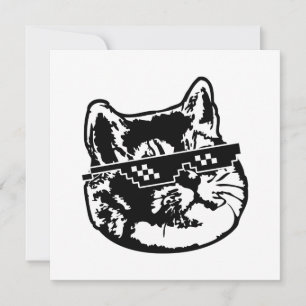 Deal With It Glasses Cat Meme