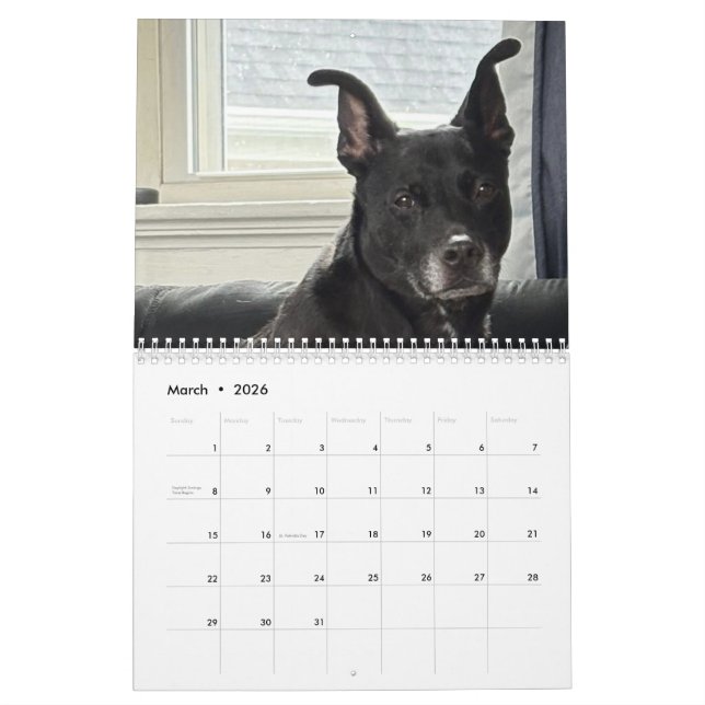 Dean, a 12-Month 2026 Calendar (Mar 2026)