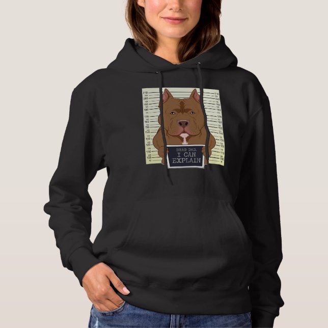 Dear Dad I Can Explain I Pitbull Dad I Pitbull Hoodie (Front)