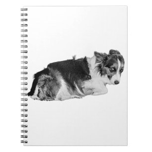 Dear Diary, Am I Good? Notebook