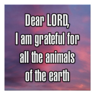 Dear LORD, I am grateful for all the... Poster
