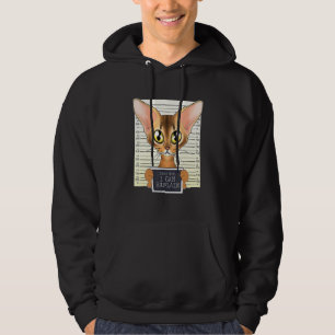 Dear Mum I Can Explain I Abyssinian Cat Mum I Abys Hoodie