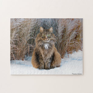 "Dear Prudence" Puzzle