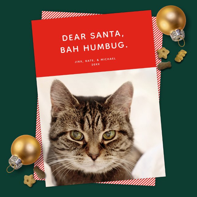 Dear Santa, Bah Humbug. Funny Holiday Photo Card (Creator Uploaded)
