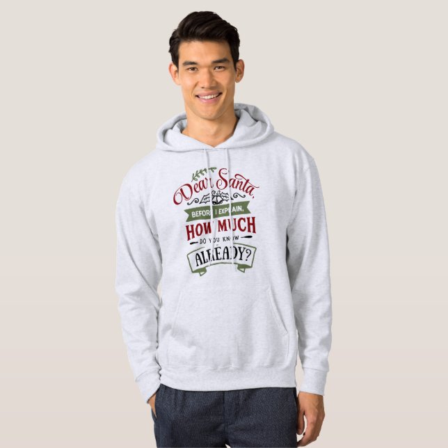Dear Santa, Before I Explain - Funny Christmas Hoodie (Front Full)