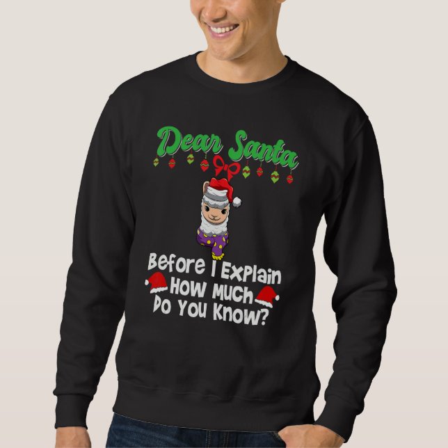Dear Santa Before I Explain How Much Do You Know_2 Sweatshirt (Front)