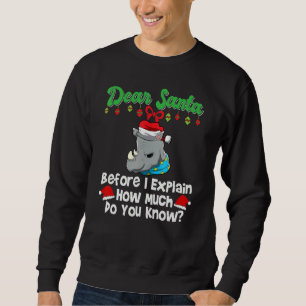 Dear Santa Before I Explain How Much Do You Know_3 Sweatshirt