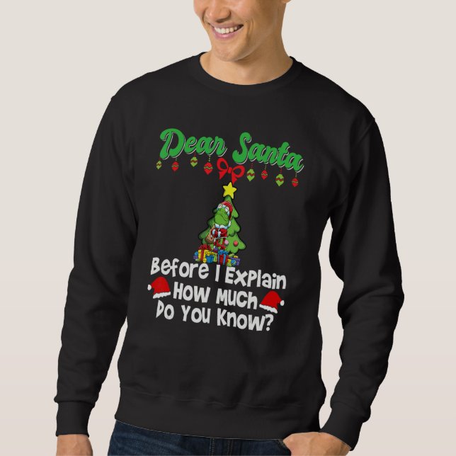 Dear Santa Before I Explain How Much Do You Know_6 Sweatshirt (Front)