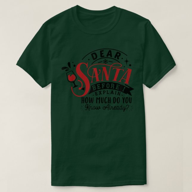 Dear Santa Before I Explain How Much Do You Know A T-Shirt (Design Front)