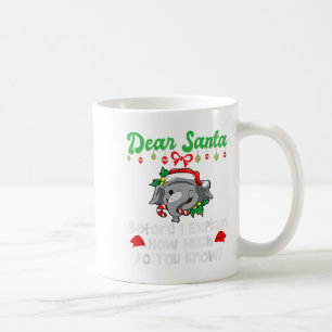 Dear Santa Before I Explain How Much Do You Know  Coffee Mug