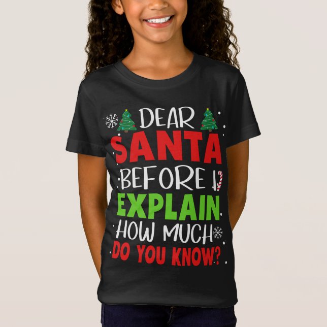 Dear Santa Before I Explain How Much Do You Know F T-Shirt (Front)
