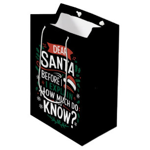 Dear Santa Before I Explain How Much Do You Know Medium Gift Bag