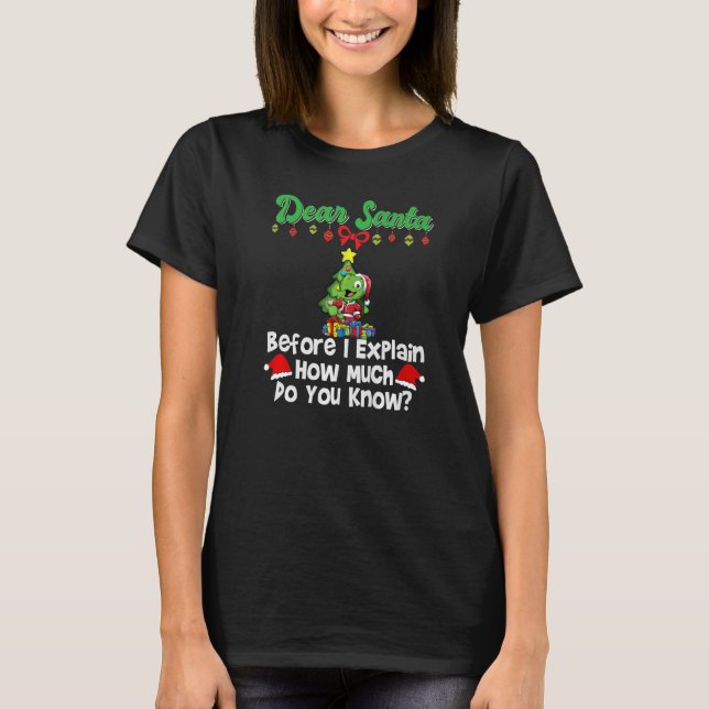 Dear Santa Before I Explain How Much Do You Know P T-Shirt (Front)