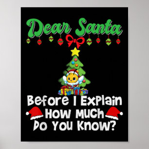 Dear Santa Before I Explain How Much Do You Know Poster