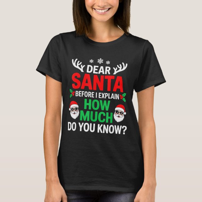 Dear Santa Before I Explain How Much Do You Know  T-Shirt (Front)
