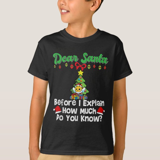 Dear Santa Before I Explain How Much Do You Know  T-Shirt (Front)
