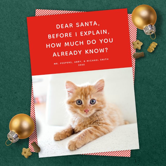 Dear Santa Cute Funny Pet Holiday Photo Card (Creator Uploaded)