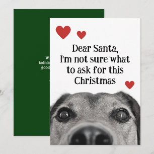 Dear Santa Cute Puppy Christmas Green Funny Holiday Card