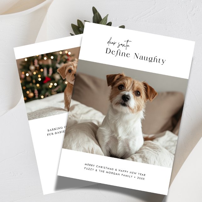 Dear Santa Define Naughty Christmas Dog 2 Photo Holiday Card (Creator Uploaded)