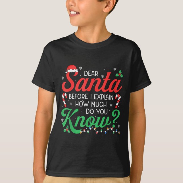 Dear Santa Explain How Much Lights Candy Christmas T-Shirt (Front)