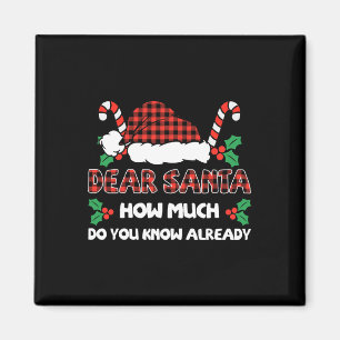 Dear Santa How Much Do You Know Already Christmas Magnet