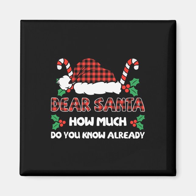 Dear Santa How Much Do You Know Already Christmas  Magnet (Front)