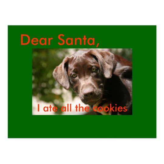 Dear Santa,, I ate all the cookies Postcard