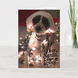 Dear Santa I can explain (dog) Card