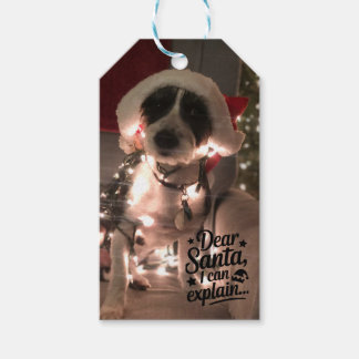 Dear Santa I can explain (dog) Gift Tags