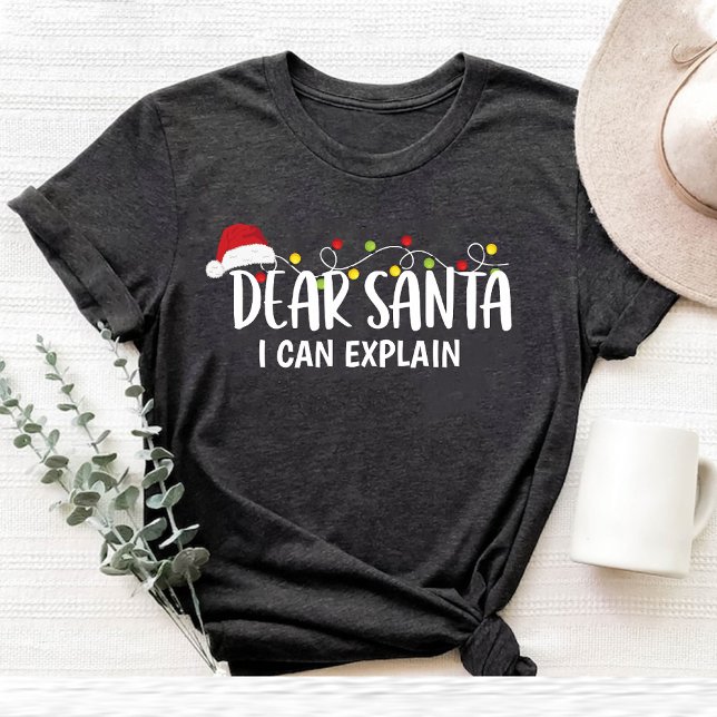 Dear Santa I Can Explain Funny Christmas family T-Shirt (Dear Santa I Can Explain Funny Christmas family T-Shirt)