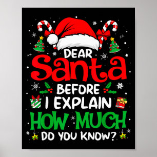 Dear Santa I Can Explain Funny Christmas Men Women Poster