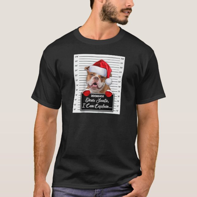 Dear Santa I Can Explain Funny Christmas Old Engli T-Shirt (Front)