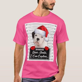 Dear Santa I Can Explain Funny Christmas White Box T-Shirt