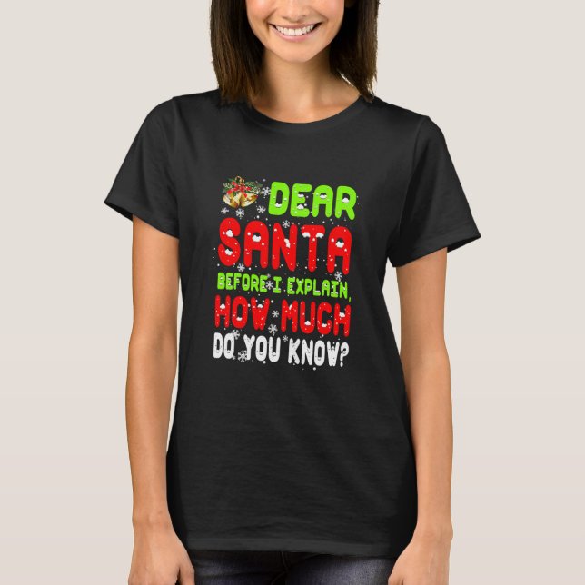 Dear Santa I Can Explain Funny Xmas T-Shirt (Front)
