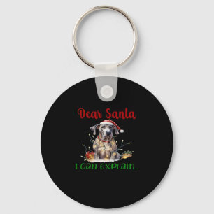 Dear Santa I Can Explain Great Dane Essential T-Sh Key Ring