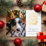 Dear Santa I tried pet dog photo fun Christmas Foil Holiday Postcard<br><div class="desc">Send this cute and fun holiday card to your family and friends to spread Christmas cheer. This card features trendy and modern typography that reads "Dear Santa I really tried" in golden foil handwritten fonts. Add your dog or cat picture, or even your kid's one to personalise. The back of...</div>