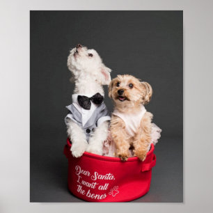 DEAR SANTA, I WANT ALL THE BONES POSTER