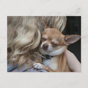 Dearly Beloved Postcard