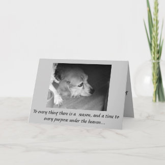 Death of Pet Sympathy Card